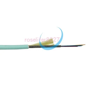 30M Indoor Armored LC-LC 8 Sstrand OM3 50/125 Multimode Fiber Optic Cable 10GB - Afbeelding 1 van 1