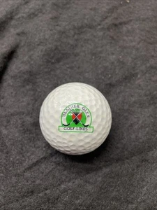 RARE Collectors Logo Golf Ball PRO SPECIAL 3 PGI LS HEATHER GLEN GOLF-LINKS - Picture 1 of 3