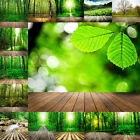 Słońce naturalne drzewo leśne światło słoneczne tło fotografia studio rekwizyt fotograficzny