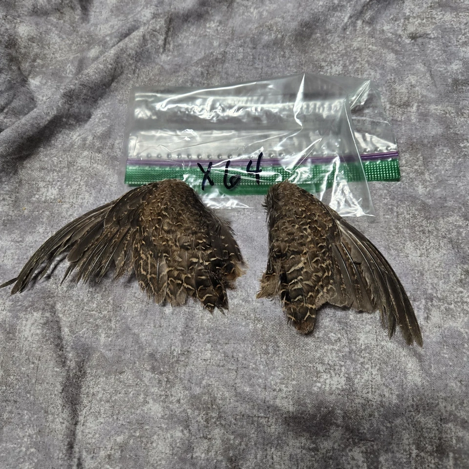 1 комплект перепелиных крыльев - x64 - Изображение 1 из 1