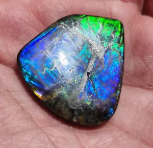 Ammolite Ammonite tabletop Display Piece Coated Stone 32x29.8x5mm Light Blue!!!! - Picture 1 of 8