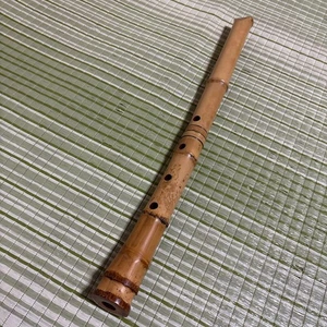 Instrumento musical tradicional japonés ICCHO Shakuhachi 1 Shaku 8 Sun - Imagen 1 de 20
