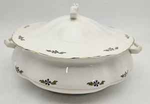 Vintage Cleveland China USA Covered Round Vegetable Dish Blue Floral - Picture 1 of 24