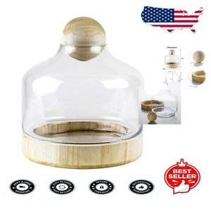 Modern Round Glass Terrarium Planter with Wood Base for Aquariums & Decor - Picture 1 of 4