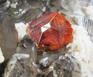 260g Granat/Spessartin&Rauchquarz&Glimmer&Rhodochrosit Kristall Mineral Präparat - Bild 1 von 12