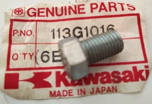 Kawasaki 113G1016 Hex Head Bolt 10x16 MT1 KV75 KZ1300 KXT250 New - Picture 1 of 2