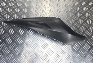 Aprilia RS 125cc Rotax 2006 - 2012 RH Right Rear Tail Cover Panel Cowl AP8179686 - Imagen 1 de 21