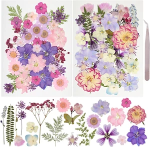 50Pcs Dried Pressed Flowers Resin Mould Real Pressed Flowers Natural Dry Leaves - Picture 1 of 11
