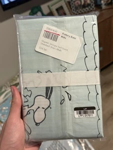 One Snoopy Peanuts Pottery Barn Pillowcase dog surf Blue! - Picture 1 of 2