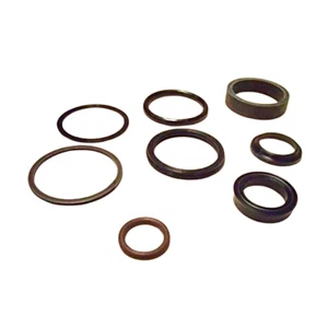 Kit de juntas para Case 234466A1 - Cilindro hidráulico - Dirección - Imagen 1 de 1