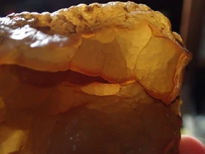 Botryoidal Fossil Coral Geode Fragment GA Agate Specimen Collection Ocean WC8 - Picture 1 of 11