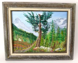 National Park Mountain Landscape R Brunner 1992 Framed Acrylic 17.25" x 14.25" - Picture 1 of 7