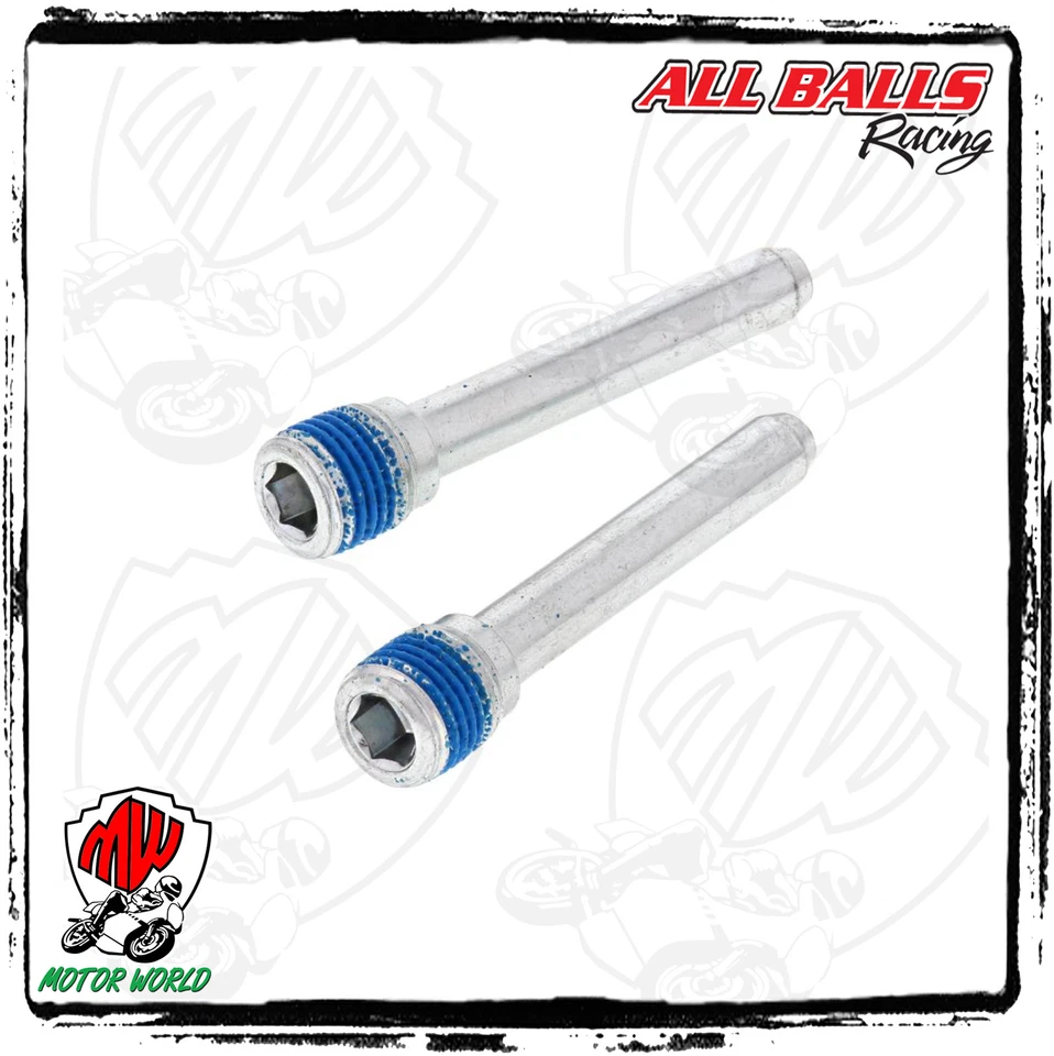 Perno Blocage Plaquettes De Frein Arrière Suzuki AN 650 Burgman 2017 - Photo 1/1