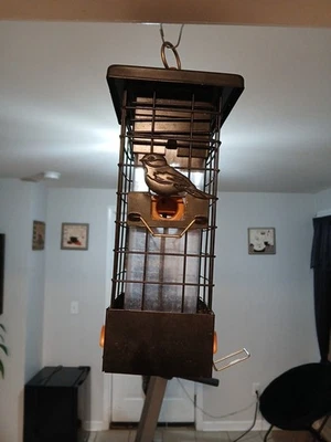 Comedero para pájaros usado 12" a prueba de ardillas Foto 1 de 4