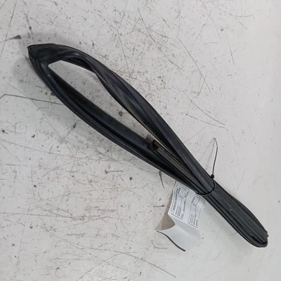 Nissan Máxima Puerta Cristal Ventana Sello Goma Pasajero Derecho Trasero 2014 2013  Foto 1 de 4