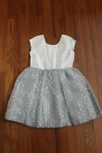 NWT Gymboree Dressed Up by Gymboree Holiday Ivory/Silver Tulle Dot Dress Size 6 - Picture 1 of 4