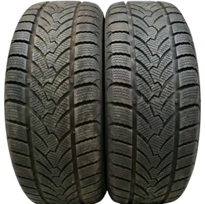 2 x neumáticos de invierno 205/55 R 16 91 H PLATIN RP 60 Winter DOT21 7mm - Imagen 1 de 2