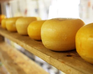 11792.Decoration Poster.Room wall.Home modern design.Kitchen food.Chef cheese - Picture 1 of 1