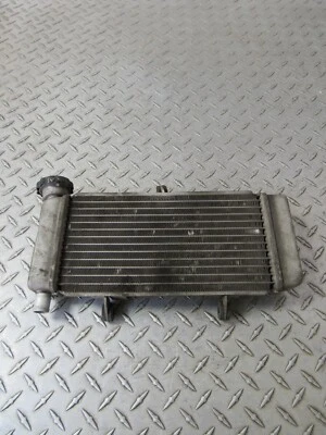 2013 13 HONDA CBR250RA CBR250R CBR 250R 250 RADIADOR DE REFRIGERAÇÃO - Imagem 1 de 4