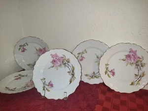 Vintage salad plates Made in S Germany, Gold trim, 2 Pink Roses with thorns. - Picture 1 of 14