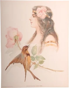Louise Homer - American Singbird / Schauspielerin 1903 viktorianische Farblitho 10x13 Druck - Bild 1 von 1