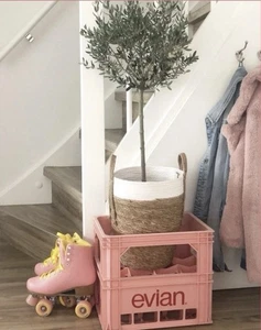 Rare Evian Crate Imported French Swiss Pink Allibert #EvianCrate Furniture - Picture 1 of 23