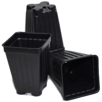 Small 2.2" SQUARE Deep BLACK NURSERY POTS SET OF 50 {2.2" x 3"} plastic flower - Image 1 of 3