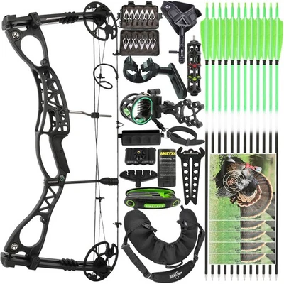 Archery 0-70lbs 33'' Compound Bow Set Arrow Adjustable Target Hunting Shooting - Image 1 of 4