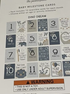 BNIP PEANUTSHELL DINO DREAM DINOSAUR BABY MILESTONE CARDS 12 DOUBLE SIDED - Picture 1 of 3