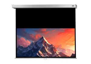 celexon Leinwand Rollo Professional Plus 240 x 150 cm - 111" (  Rollo ) - Bild 1 von 4