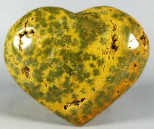 Collection ! Amazing Ocean Jasper Agate Heart Jasper Reiki Stone - Picture 1 of 8