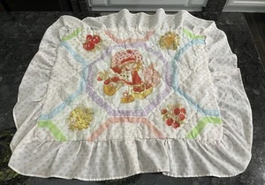 Vtg 1980’s Strawberry Shortcake Set Of 2 Pillow Shams Ruffled Quilted Sears READ - Picture 1 of 23
