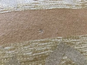 Cecchi Cecchi Blanket Throw - Picture 1 of 5