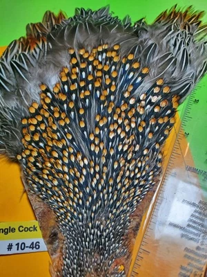 Jungle Cock Cape SUPER AAA   10-46 USA Only  - Image 1 of 4