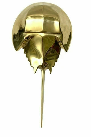 Nautical Antique Shinny Brass Stingray Fish Door Knocker Home & Office Decor Cover