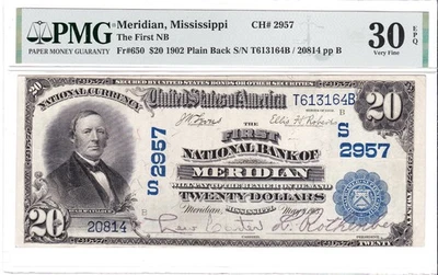 $20 1902 PB National MERIDIAN Mississippi MS 🇺🇸 ¡Mega raro! 3 en censo! 🇺🇸 Foto 1 de 2