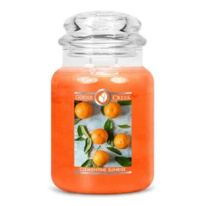 CLEMENTINE SUNRISE CANDLE 24 OZ LARGE JAR 2 WICK GOOSE CREEK CANDLE ORANGE RARE - Picture 1 of 2