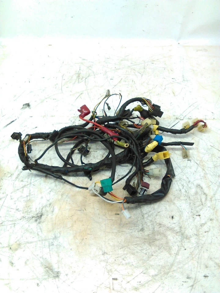 IMPIANTO ELETTRICO PER HYOSUNG GV 250 B AQUILA DEL 2009 (e43184) Foto 1 de 1