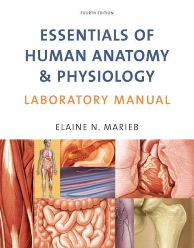 Essentials of Human Anatomy and Physiology Laboratory Manual by Elaine N. Marieb (2008, Spiral)