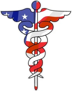 Dr. Krankenschwester Caduceus reflektierender oder matter Vinyl-Aufkleber Sticker RN CNA BSN medizinisch - Bild 1 von 3