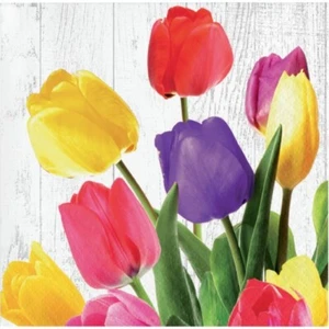 Tulip Bouquet Beverage Paper Napkins 16 Pack Flowers Floral Tableware Supplies - Picture 1 of 1