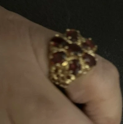Anillo Diseñador Felix Chen PAJ Plata Esterlina Granate Oro 14k Vermeil Talla 7.5 Foto 1 de 4