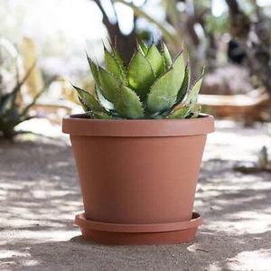 Bloem Round Planter 16" Terra Cotta color, Matte , Durable Resin, Traditional - Picture 1 of 7