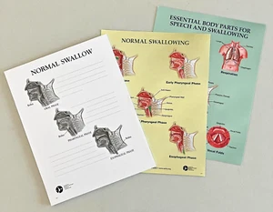 ASHA Normal Swallowing Dysphagia Educational Charts Speech Pathology SLP - Picture 1 of 3