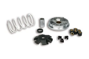 NUOVO VARIATORE MALOSSI MULTIVAR 518752 PEUGEOT SPEEDFIGHT 2 50 2T LC 2004> - Imagen 1 de 1