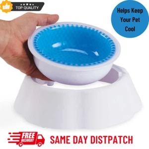Water Cooling Drinking Bowl for Dogs Cats Pets Keeps Water Chilled Cold Fresh - Picture 1 of 7