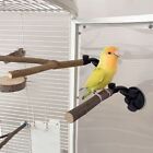 Natural Wood Parrot Sucker Stand Pole Parrot Chew Bite Toys  Bird Cage