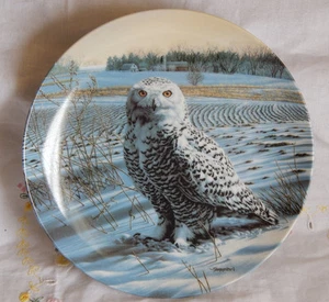 THE SNOWY OWL PLATE THE STATELY OWLS  - Picture 1 of 1