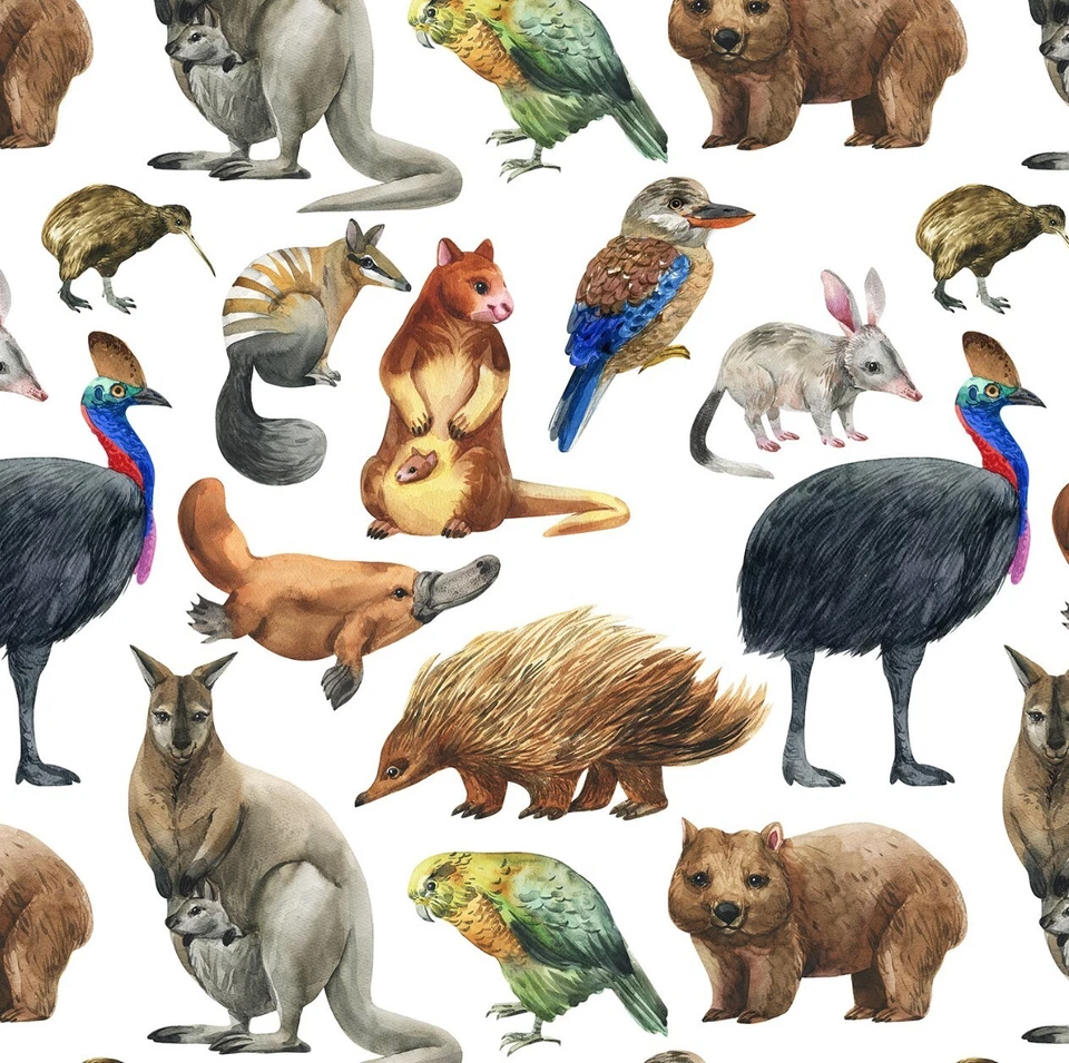 Fat Quarter - Aussie Allovers - Animales australianos Tela de algodón blanco Foto 1 de 1