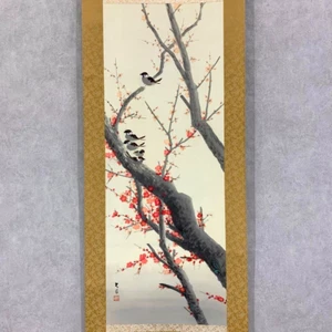 Japanische hängende Schriftrolle Pflaume Spatz Vögel Gemälde mit Box asiatisch antik wwT - Bild 1 von 12